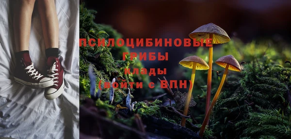 эйфоретик Алзамай