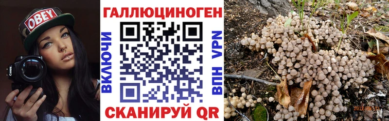 Псилоцибиновые грибы GOLDEN TEACHER Кондопога