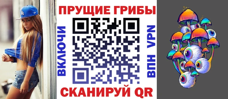 Псилоцибиновые грибы Cubensis блэк спрут зеркало Кондопога